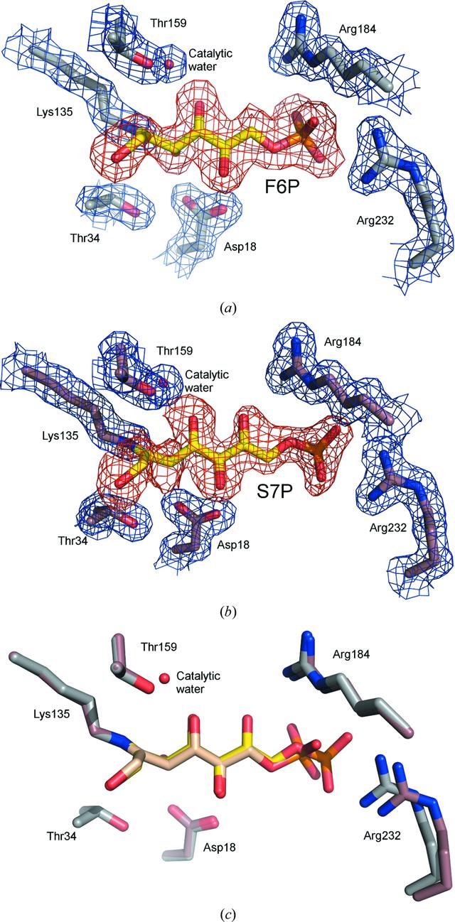 [Figure 5]