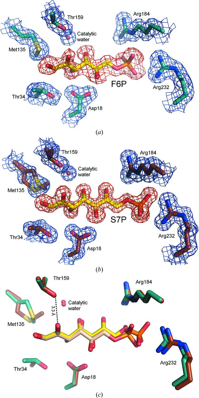 [Figure 6]