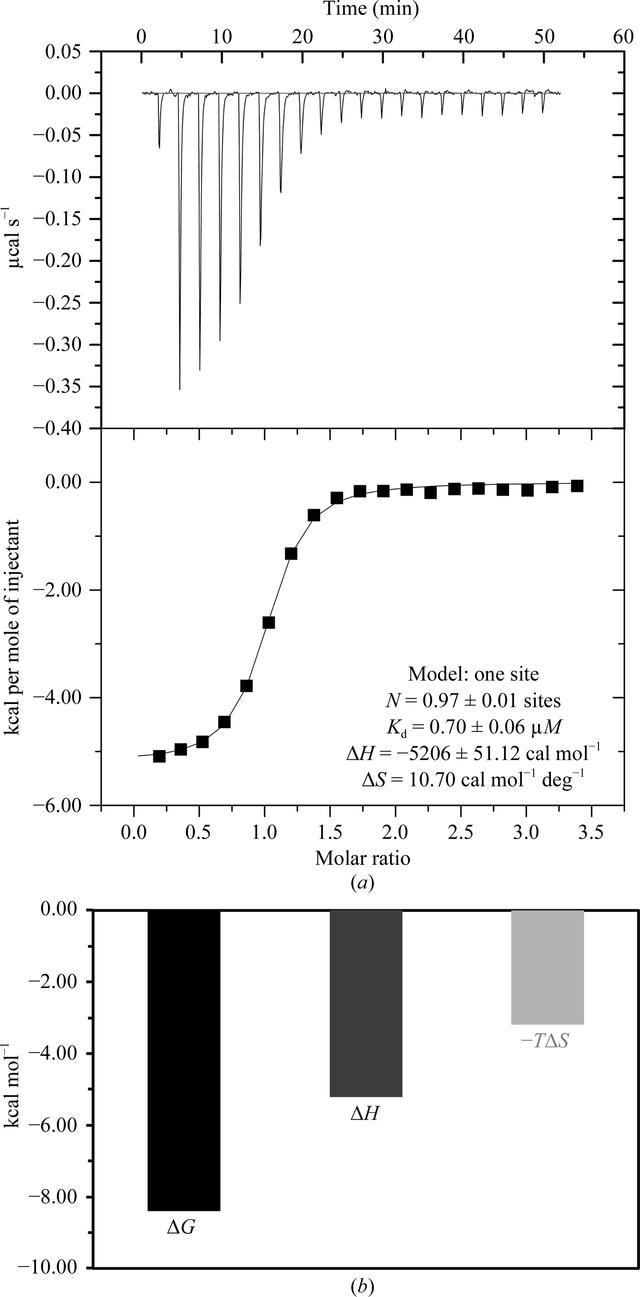 [Figure 2]