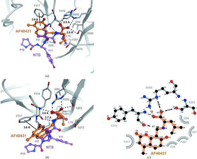 [Figure 5]