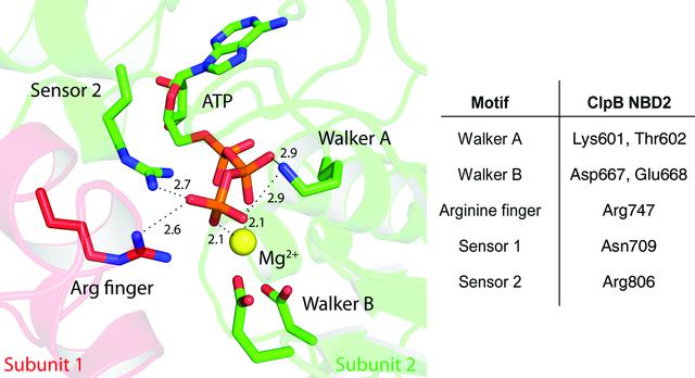 [Figure 1]