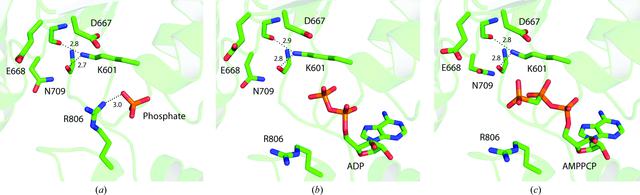 [Figure 2]