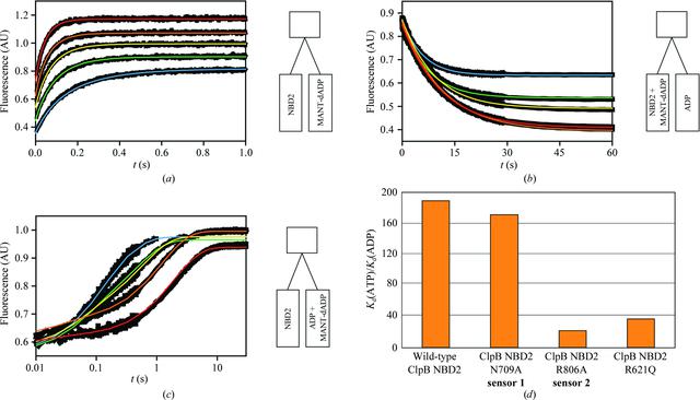 [Figure 4]