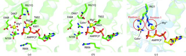 [Figure 5]