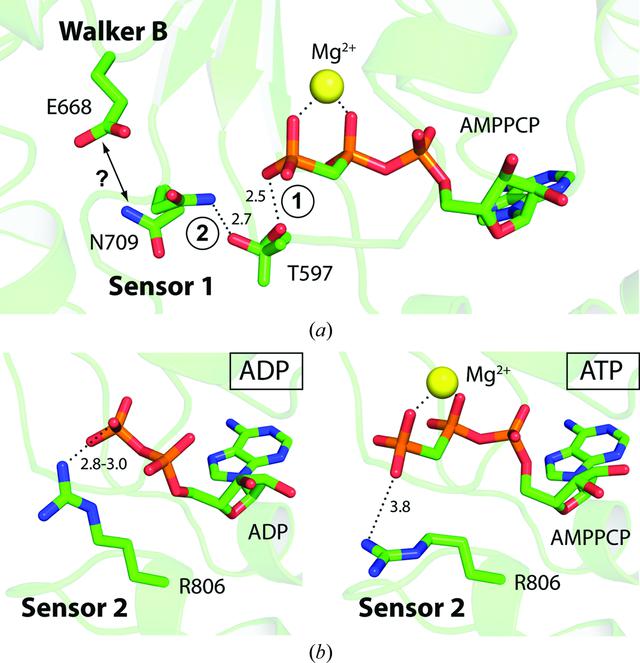 [Figure 6]