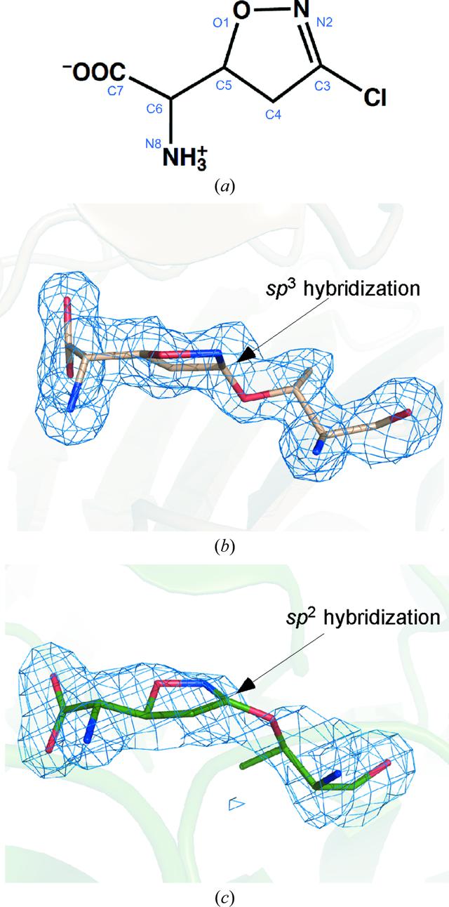 [Figure 1]