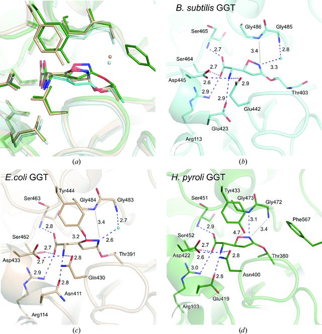 [Figure 3]