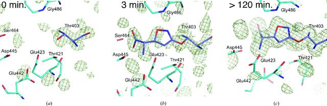 [Figure 4]