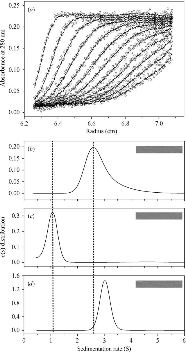 [Figure 1]