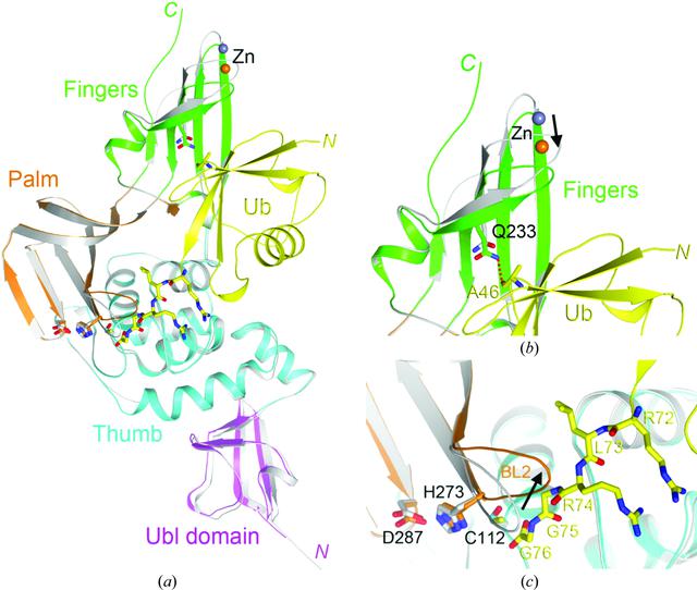 [Figure 2]