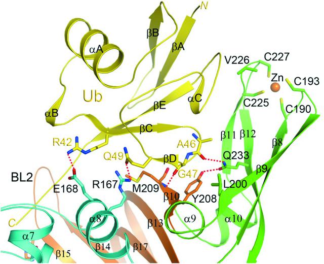 [Figure 3]