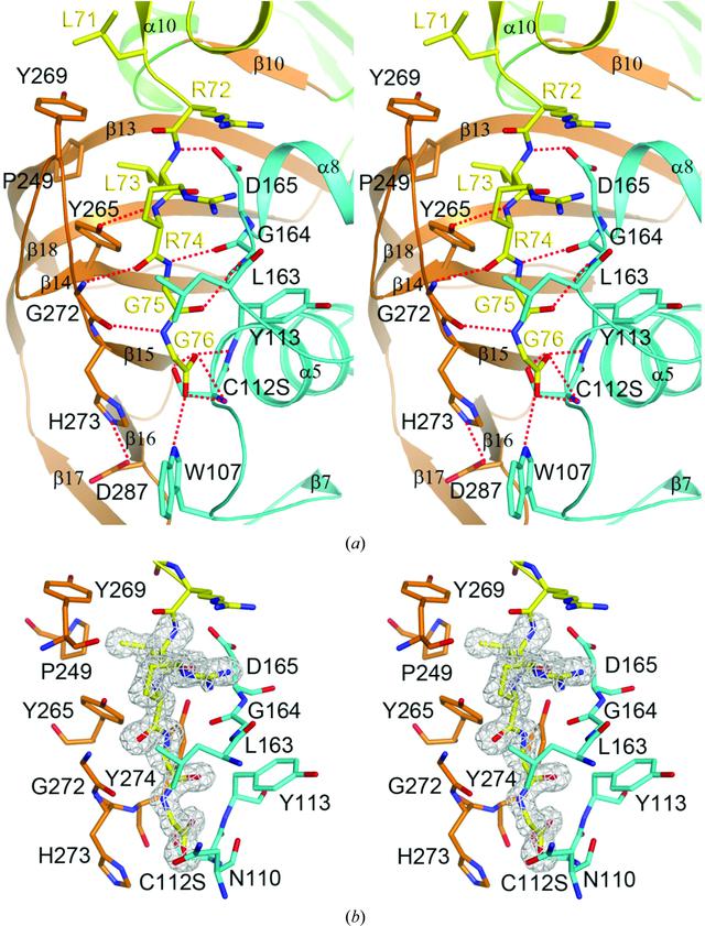 [Figure 4]