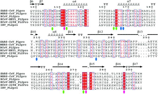 [Figure 5]