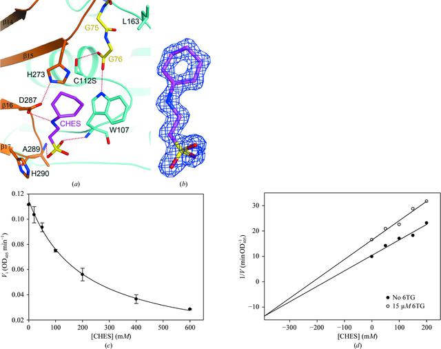 [Figure 6]