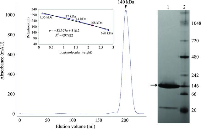 [Figure 1]