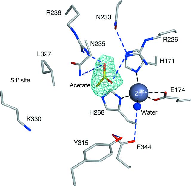 [Figure 10]