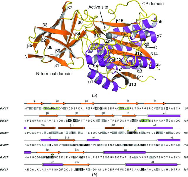 [Figure 5]