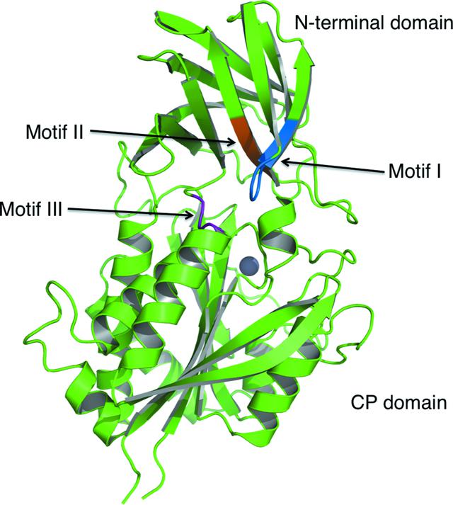 [Figure 8]