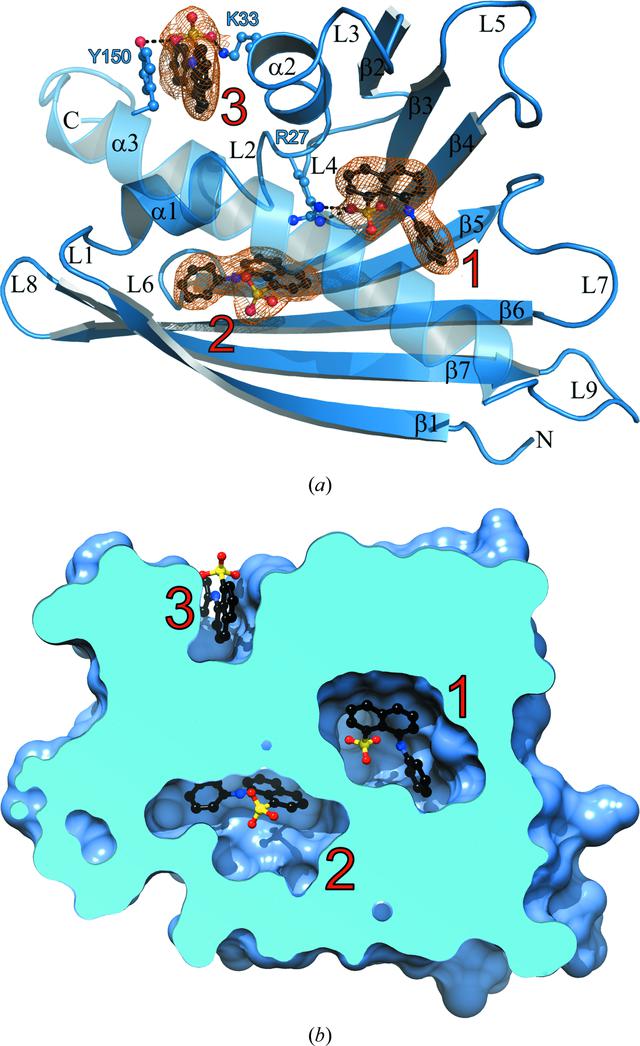 [Figure 2]