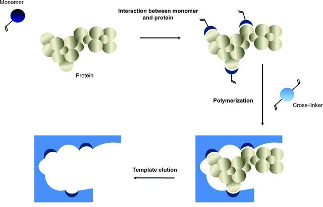 [Figure 1]