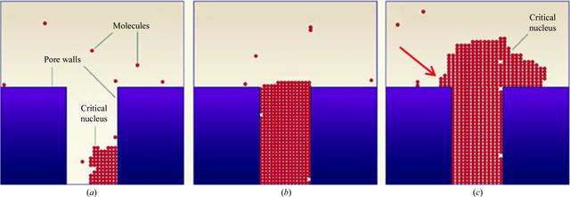 [Figure 5]