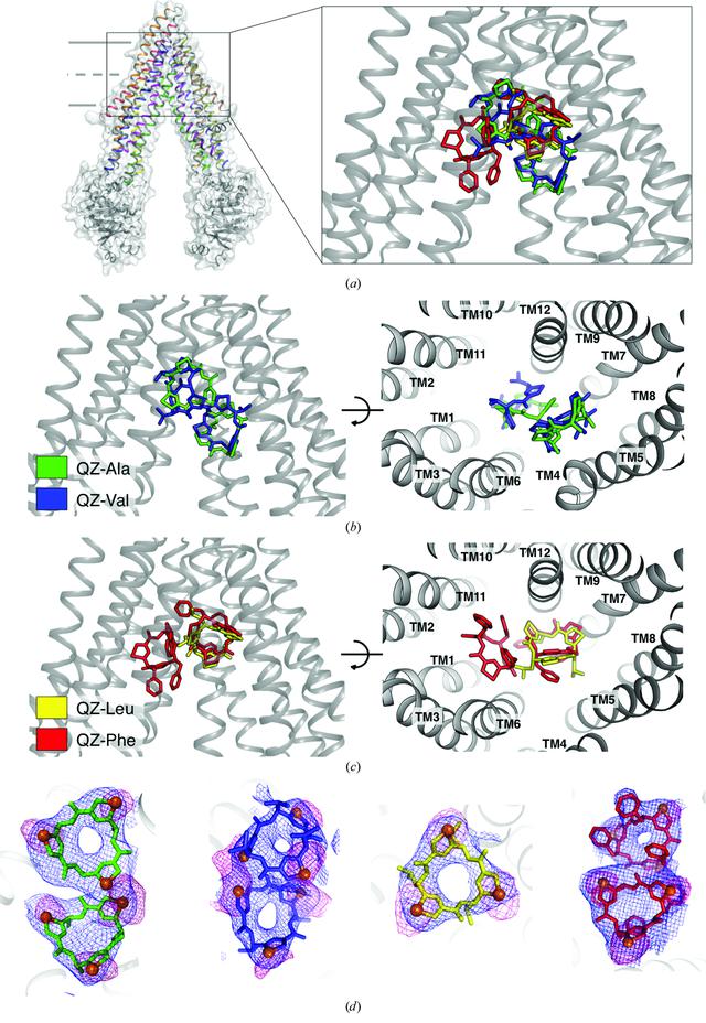 [Figure 3]