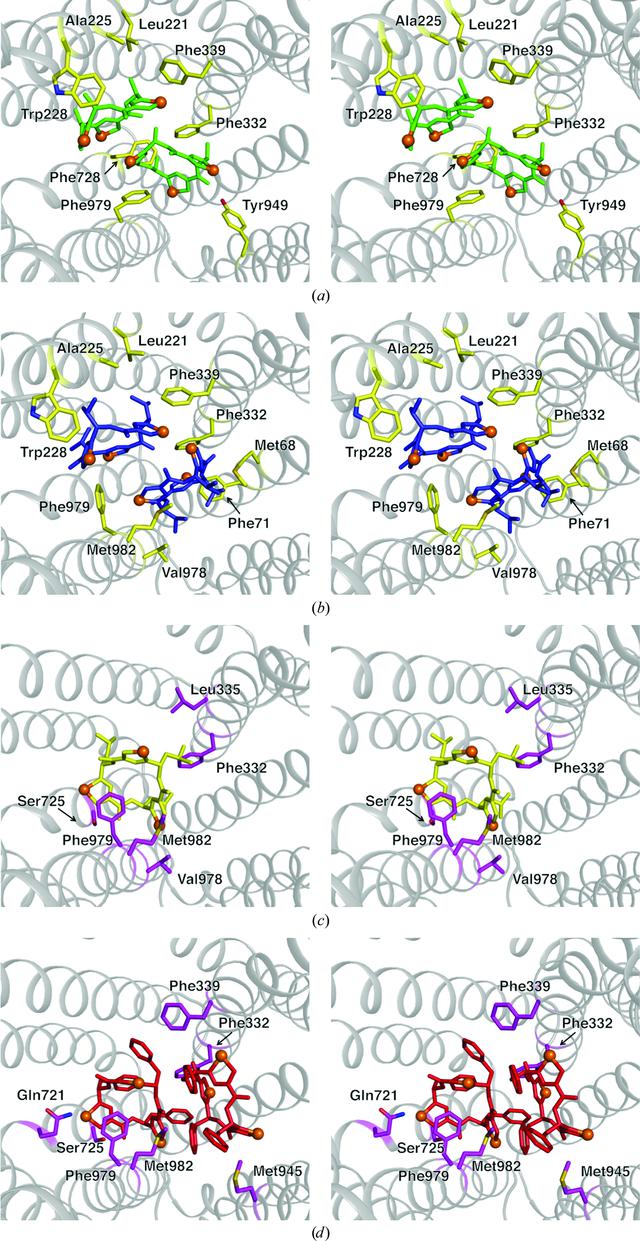 [Figure 4]