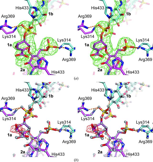 [Figure 3]