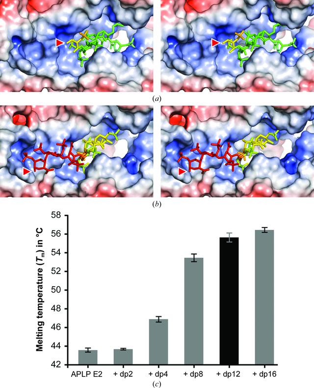 [Figure 5]