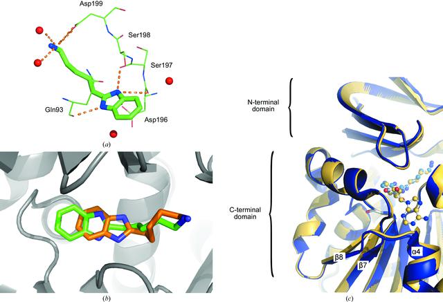 [Figure 4]