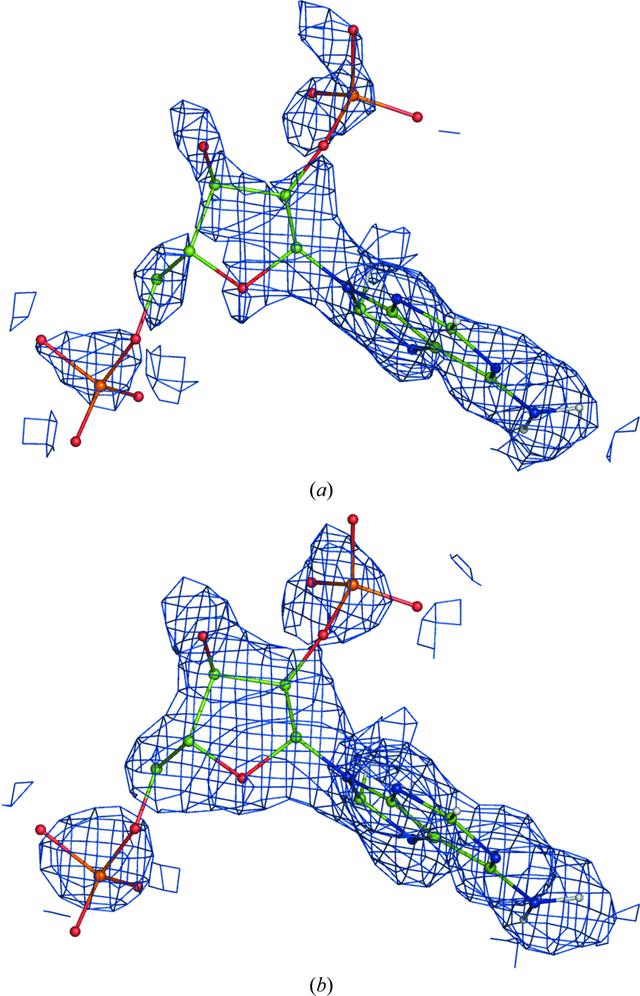 [Figure 20]