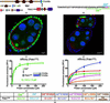 [Figure 1]