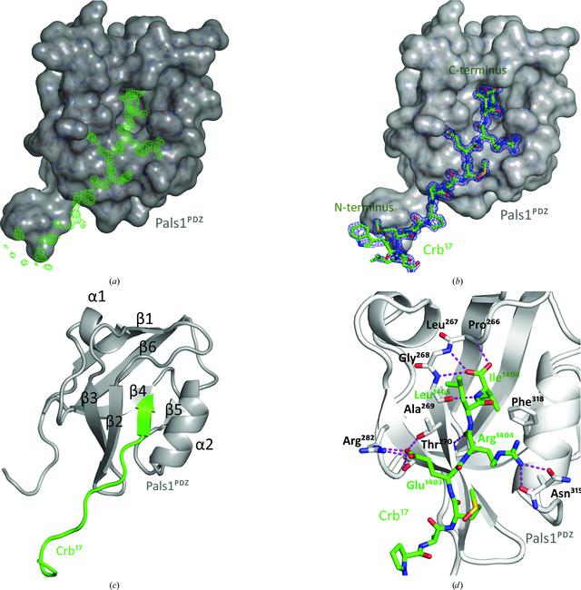 [Figure 2]