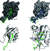 [Figure 2]