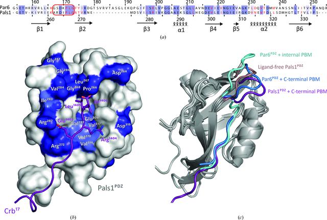 [Figure 4]