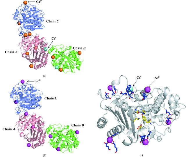 [Figure 1]