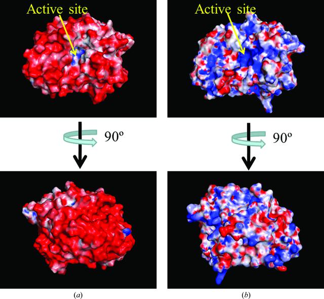 [Figure 2]