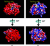 [Figure 2]