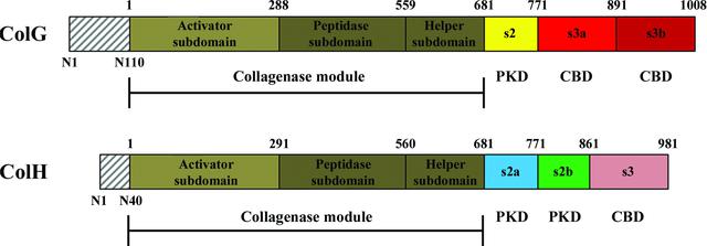 [Figure 1]