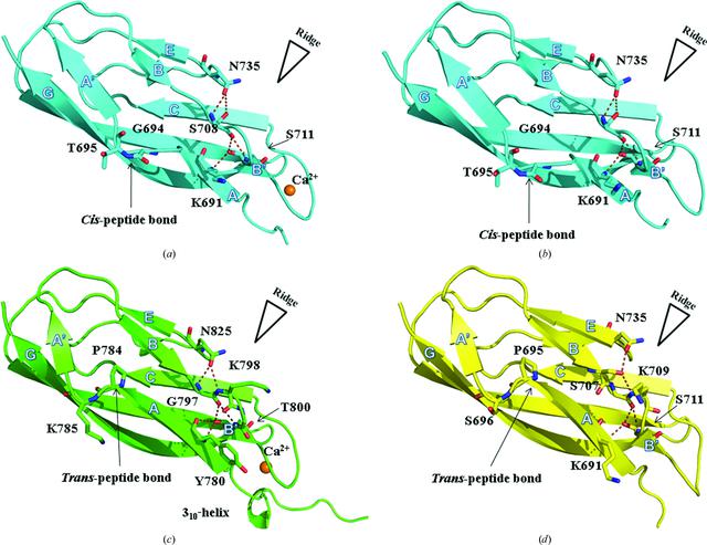 [Figure 2]