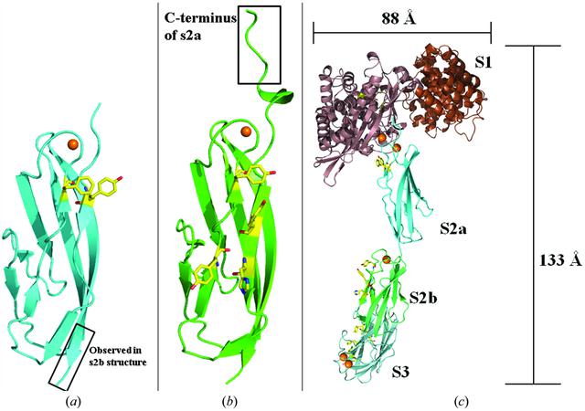 [Figure 7]