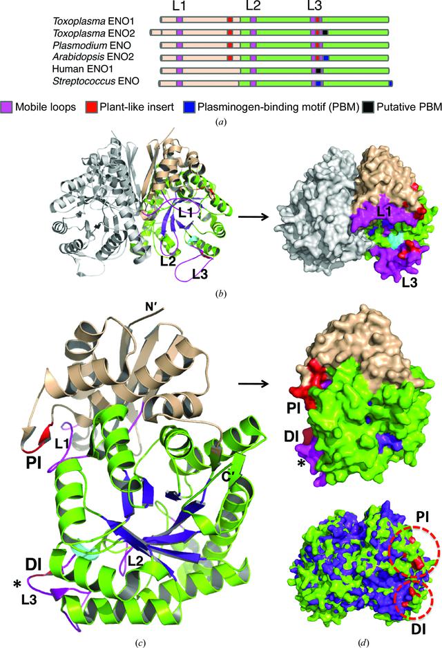 [Figure 2]