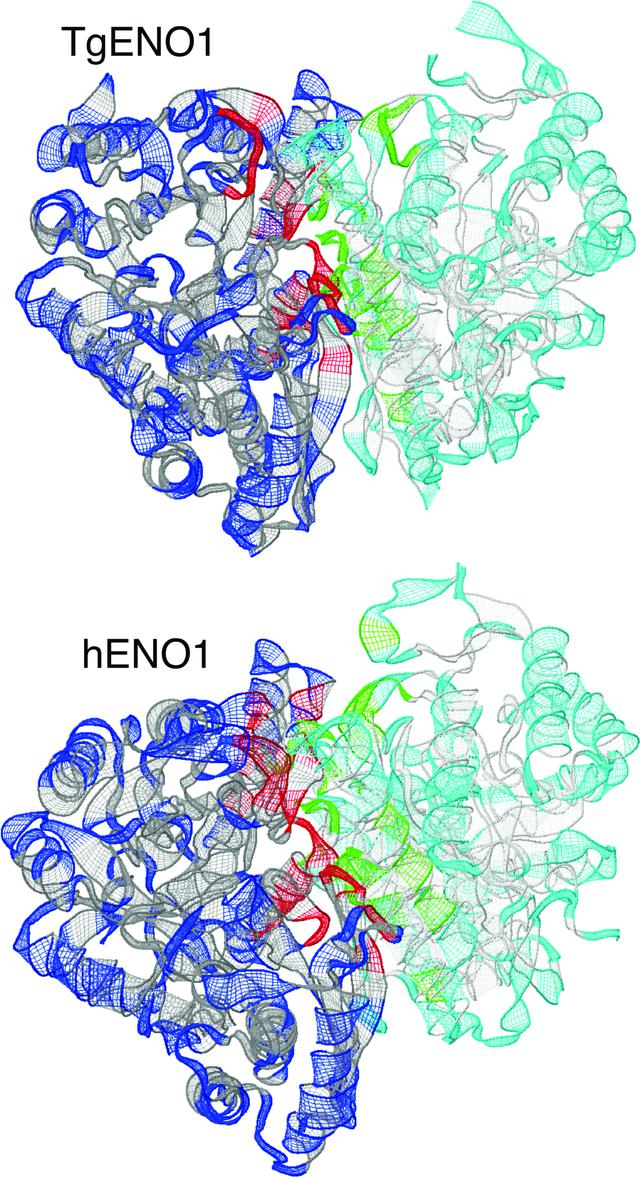 [Figure 3]