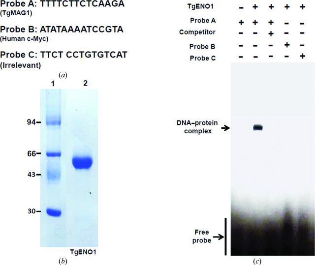 [Figure 6]