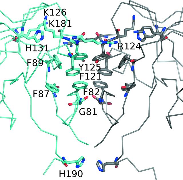 [Figure 4]