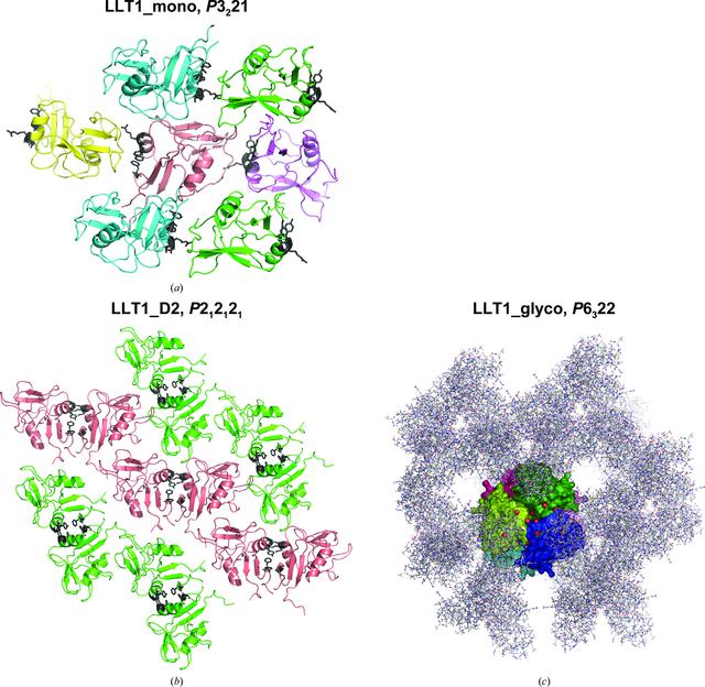 [Figure 5]