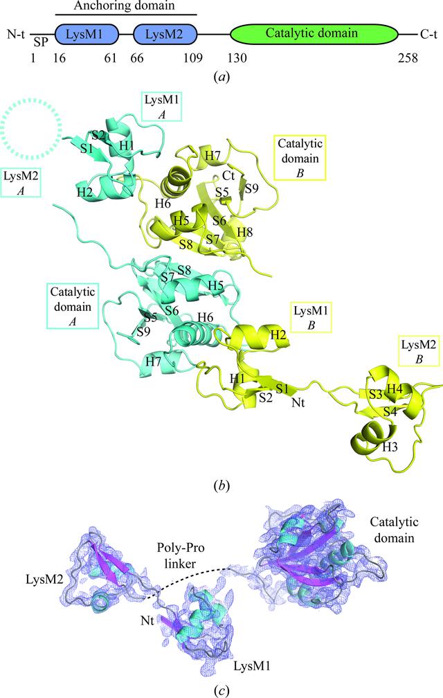 [Figure 1]