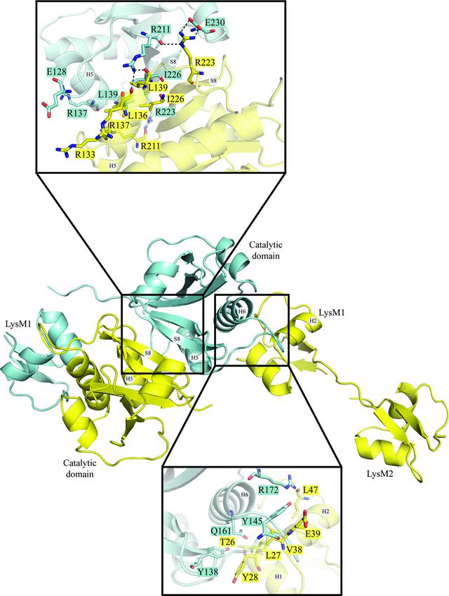 [Figure 2]