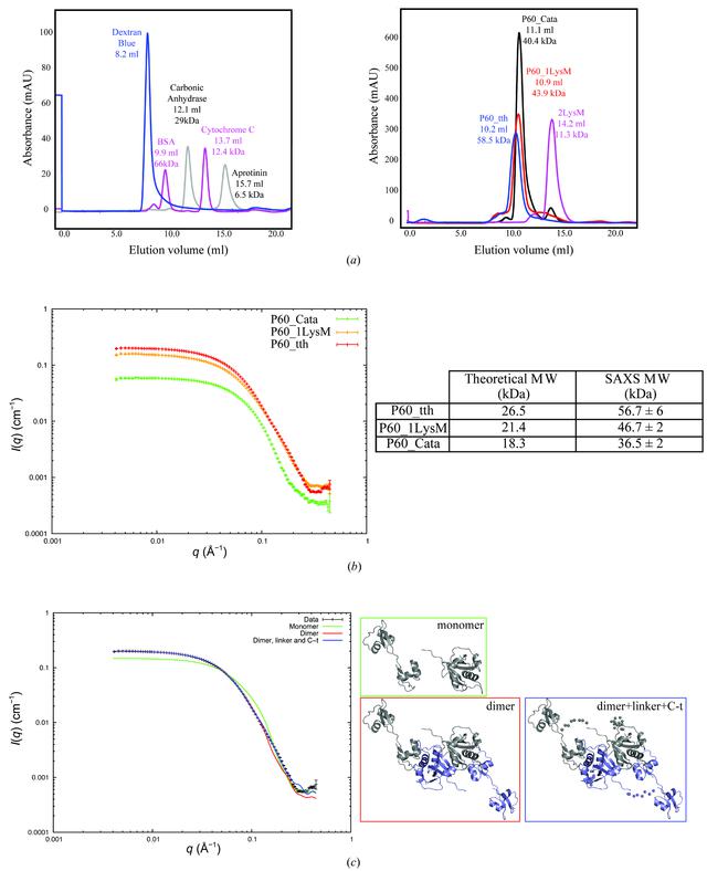 [Figure 4]