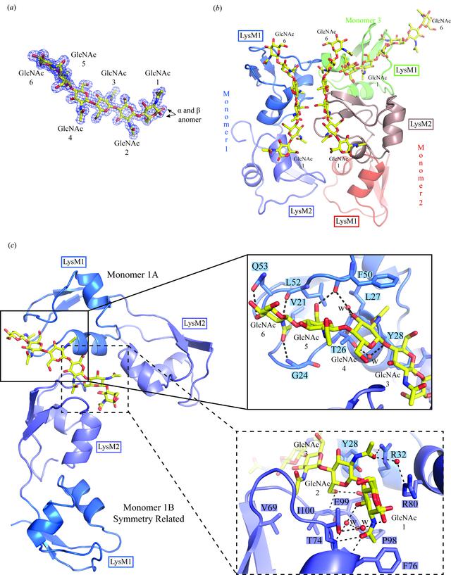 [Figure 5]